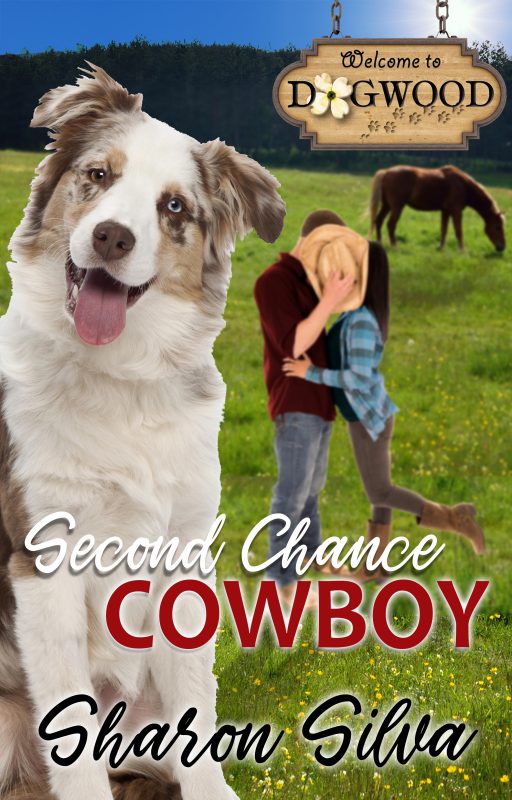 Second Chance Cowboy